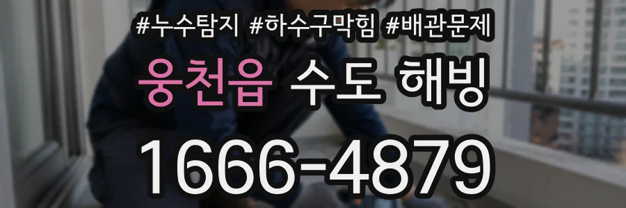 웅천읍 수도 해빙
