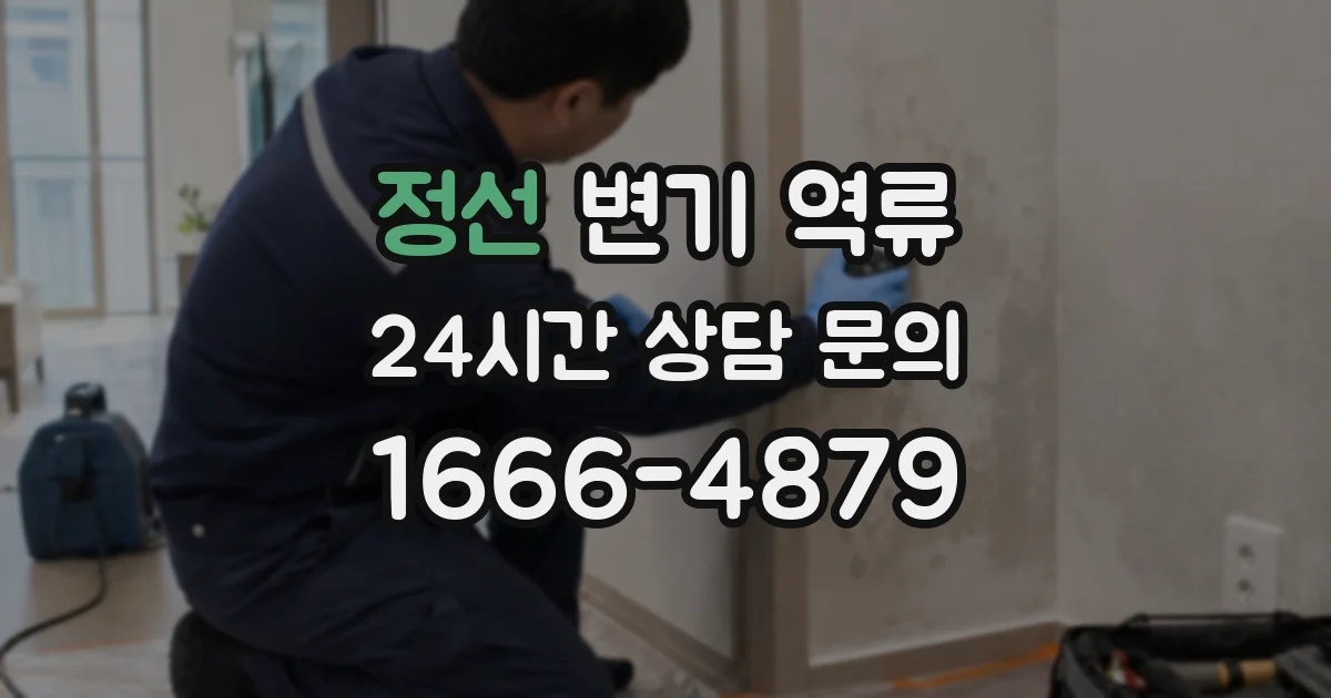 정선 변기 역류