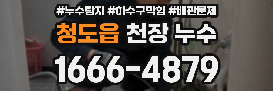 청도읍 천장 누수