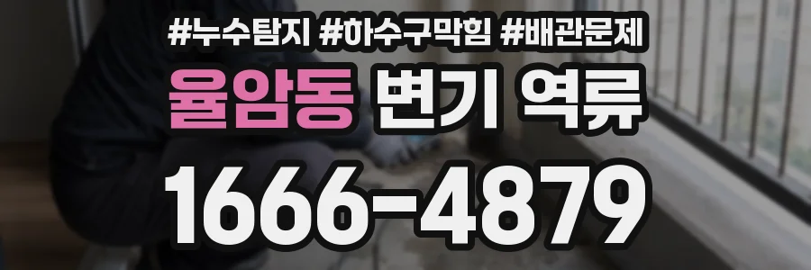 율암동 변기 역류