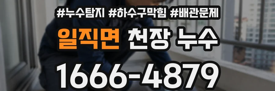 일직면 천장 누수