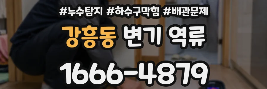 강흥동 변기 역류