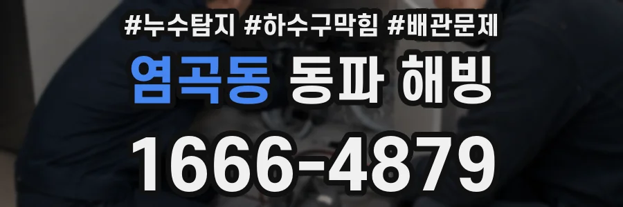 염곡동 동파 해빙
