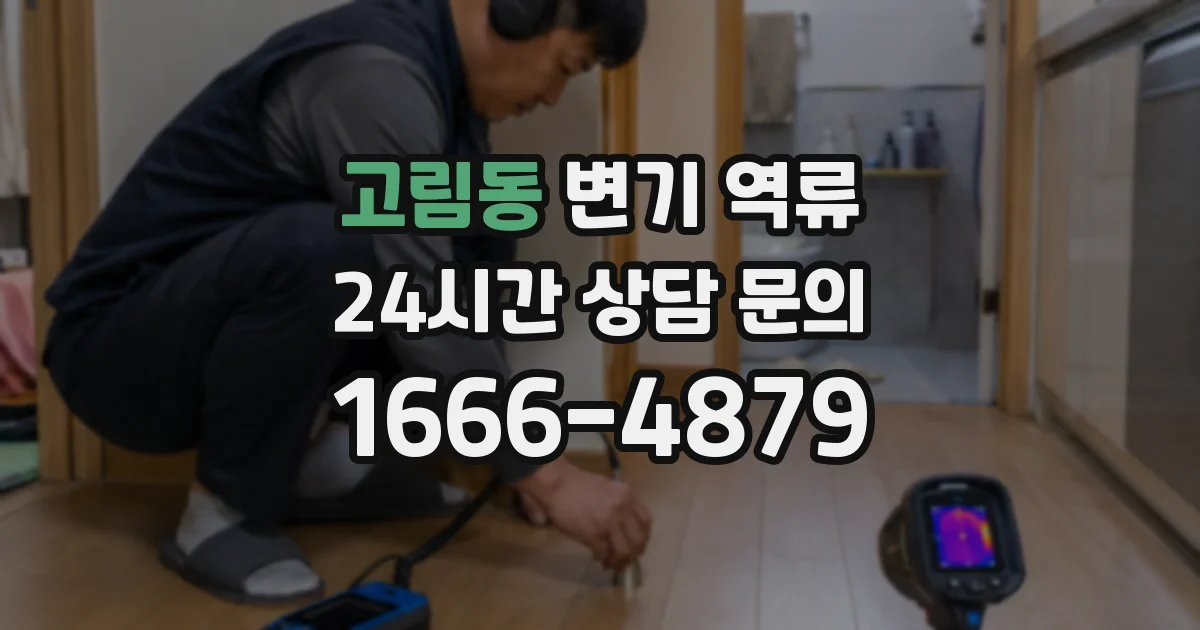 고림동 변기 역류