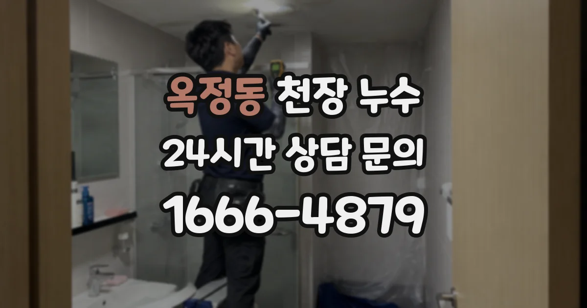 옥정동 천장 누수