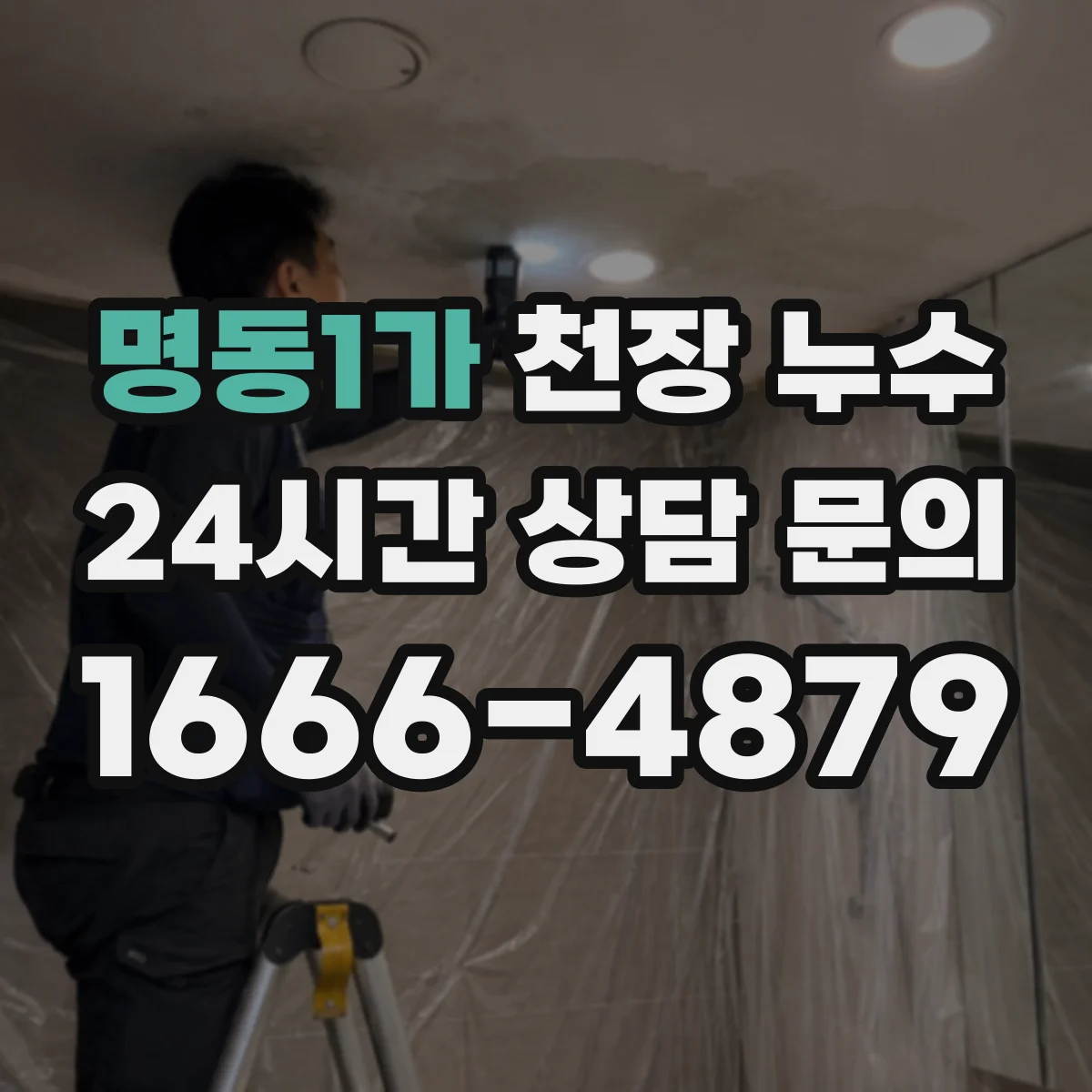 명동1가 천장 누수
