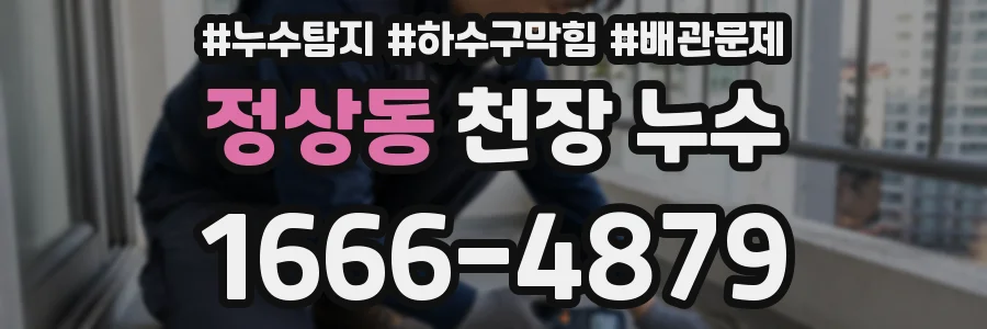 정상동 천장 누수