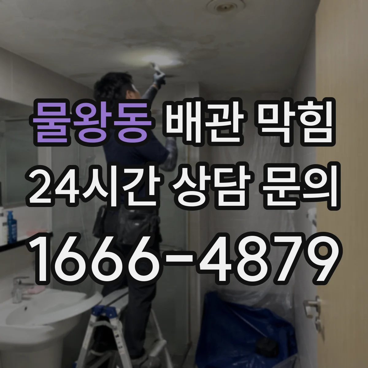 물왕동 배관 막힘