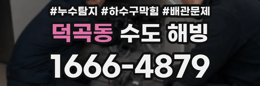 덕곡동 수도 해빙