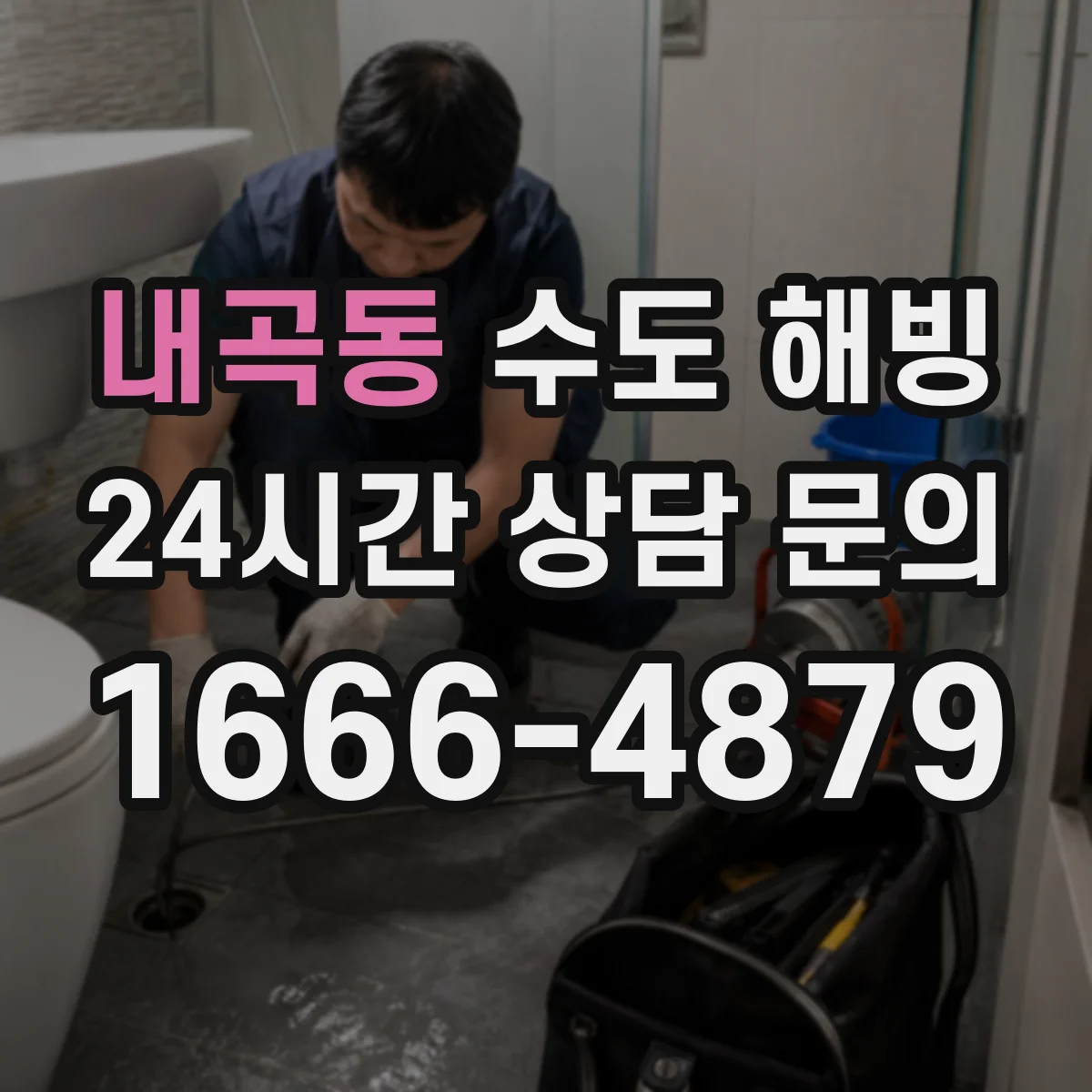 내곡동 수도 해빙