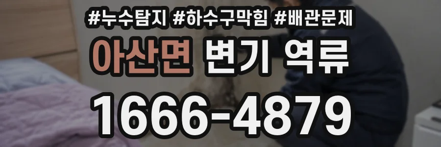 아산면 변기 역류