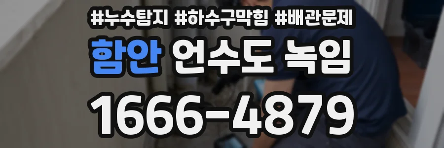 함안 언수도 녹임