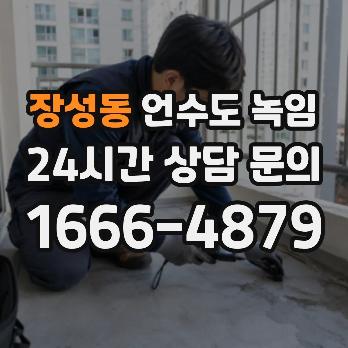 장성동 언수도 녹임