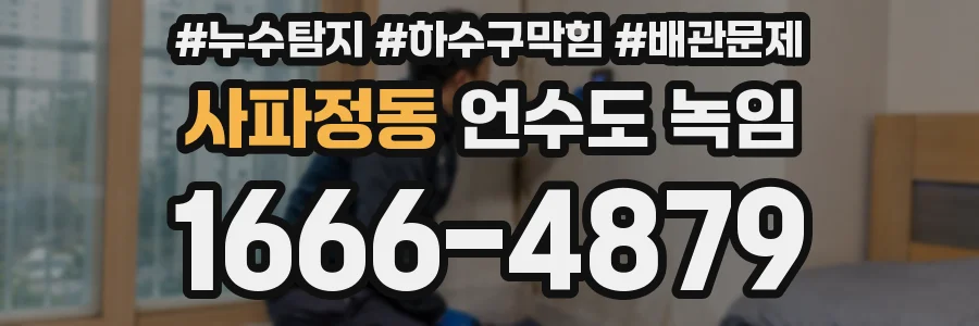 사파정동 언수도 녹임