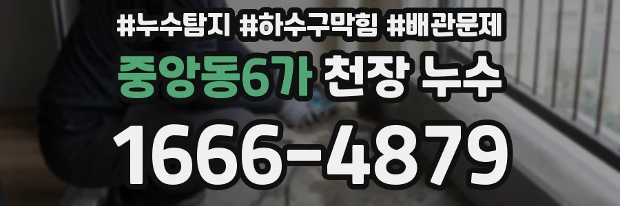 중앙동6가 천장 누수