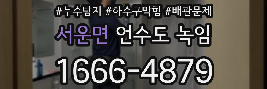 서운면 언수도 녹임