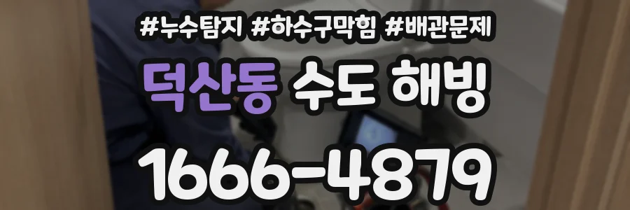 덕산동 수도 해빙