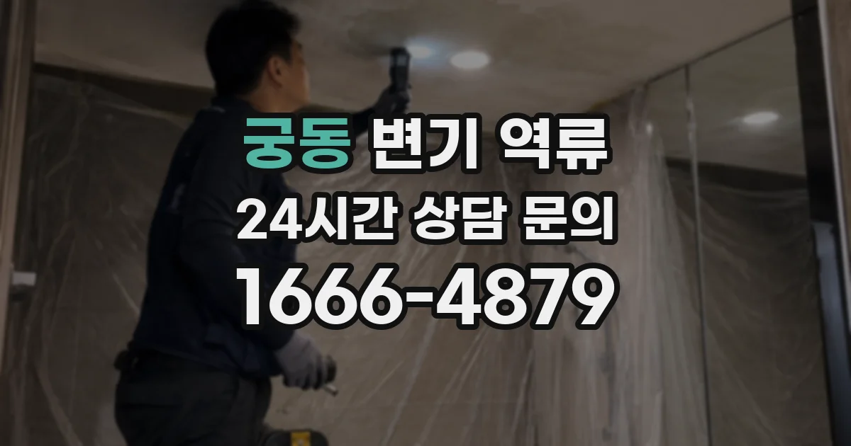 궁동 변기 역류