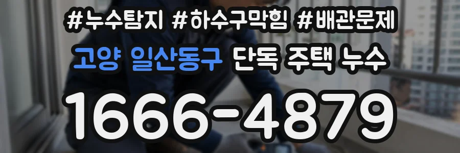 고양 일산동구 단독 주택 누수