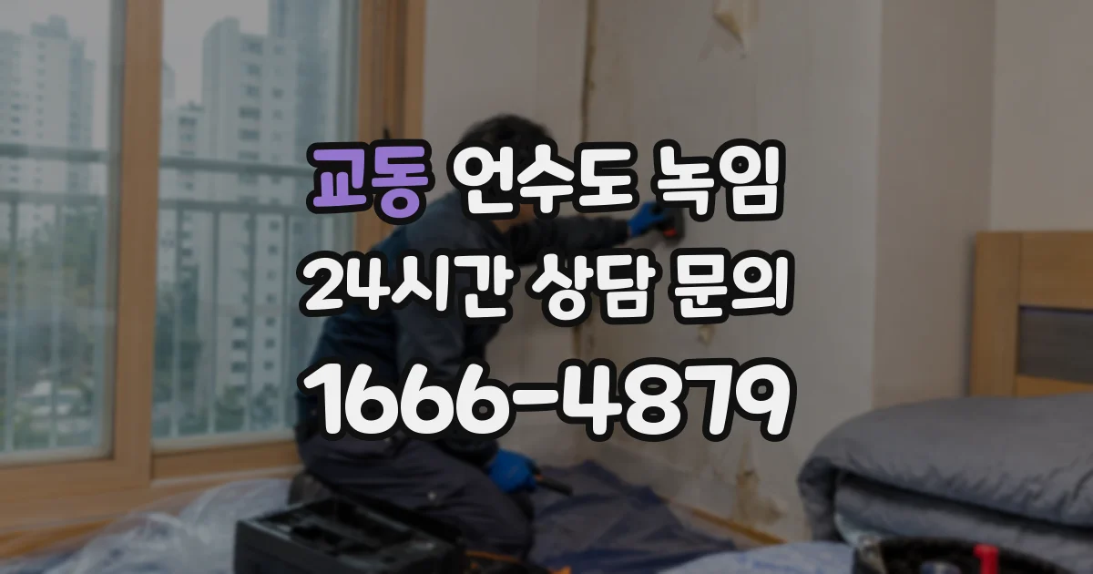 교동 언수도 녹임