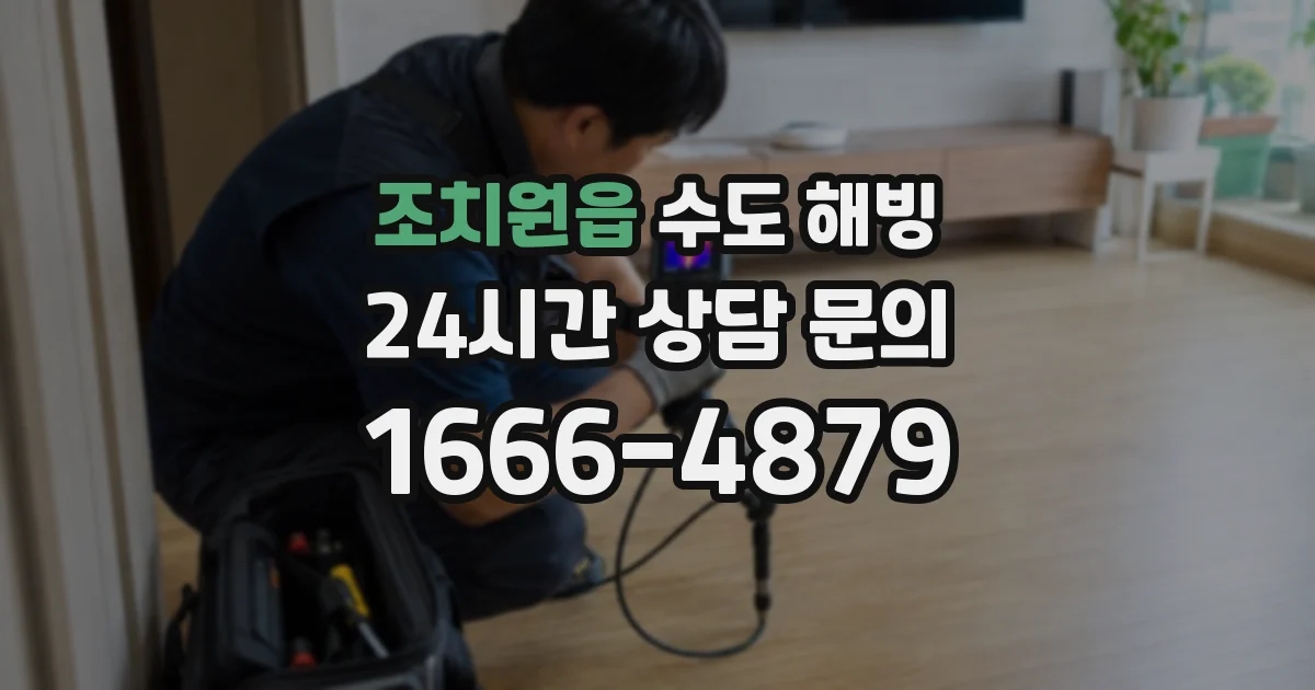 조치원읍 수도 해빙