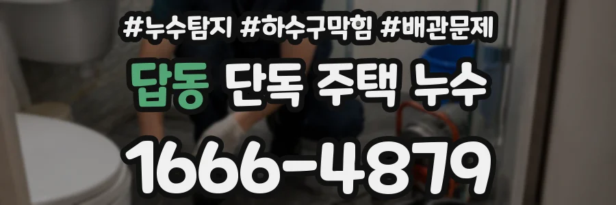 답동 단독 주택 누수
