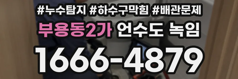 부용동2가 언수도 녹임