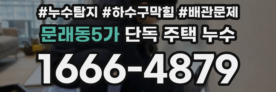 문래동5가 단독 주택 누수
