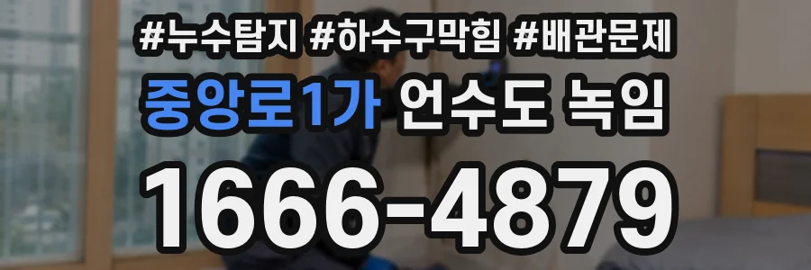 중앙로1가 언수도 녹임