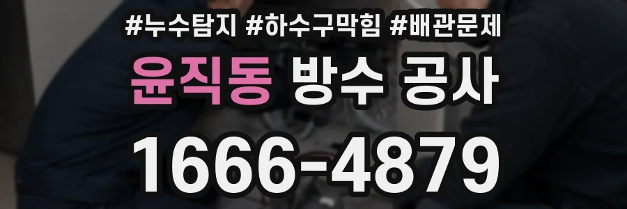 윤직동 방수 공사