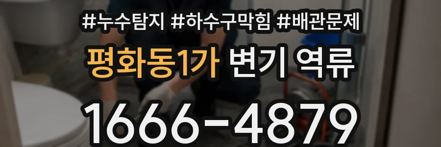 평화동1가 변기 역류