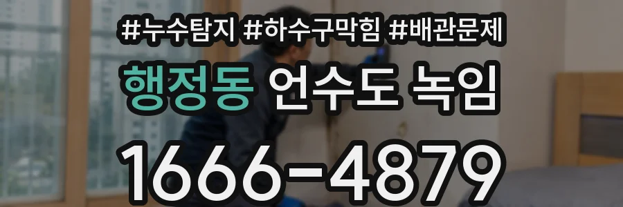 행정동 언수도 녹임
