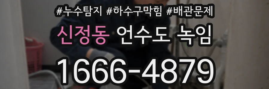 신정동 언수도 녹임