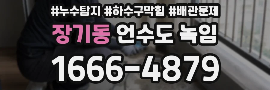 장기동 언수도 녹임