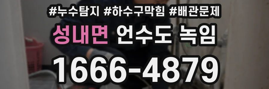 성내면 언수도 녹임