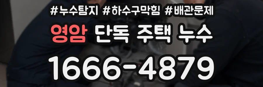 영암 단독 주택 누수
