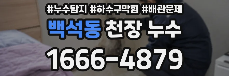 백석동 천장 누수