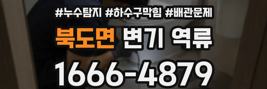 북도면 변기 역류