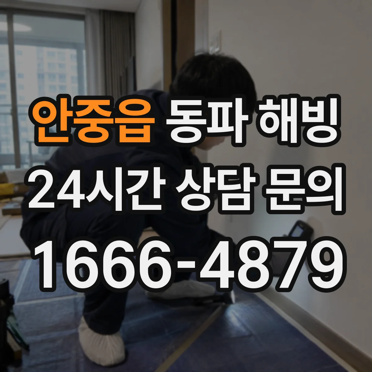 안중읍 동파 해빙