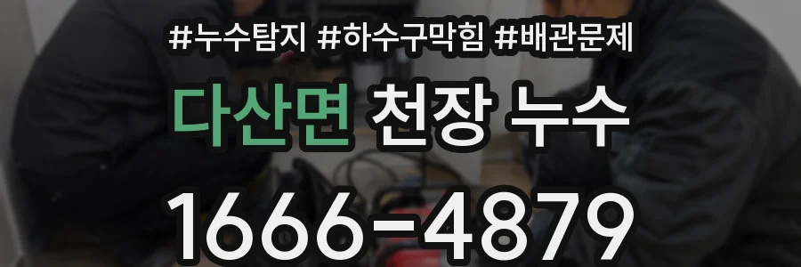 다산면 천장 누수