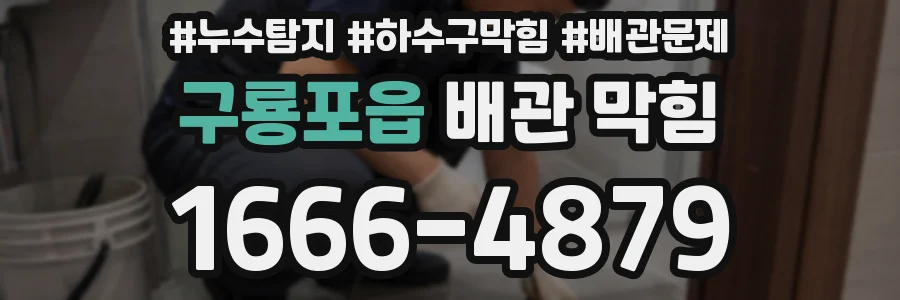 구룡포읍 배관 막힘