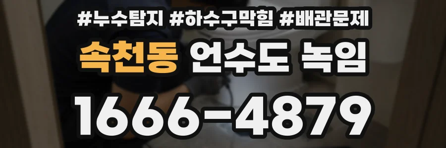 속천동 언수도 녹임