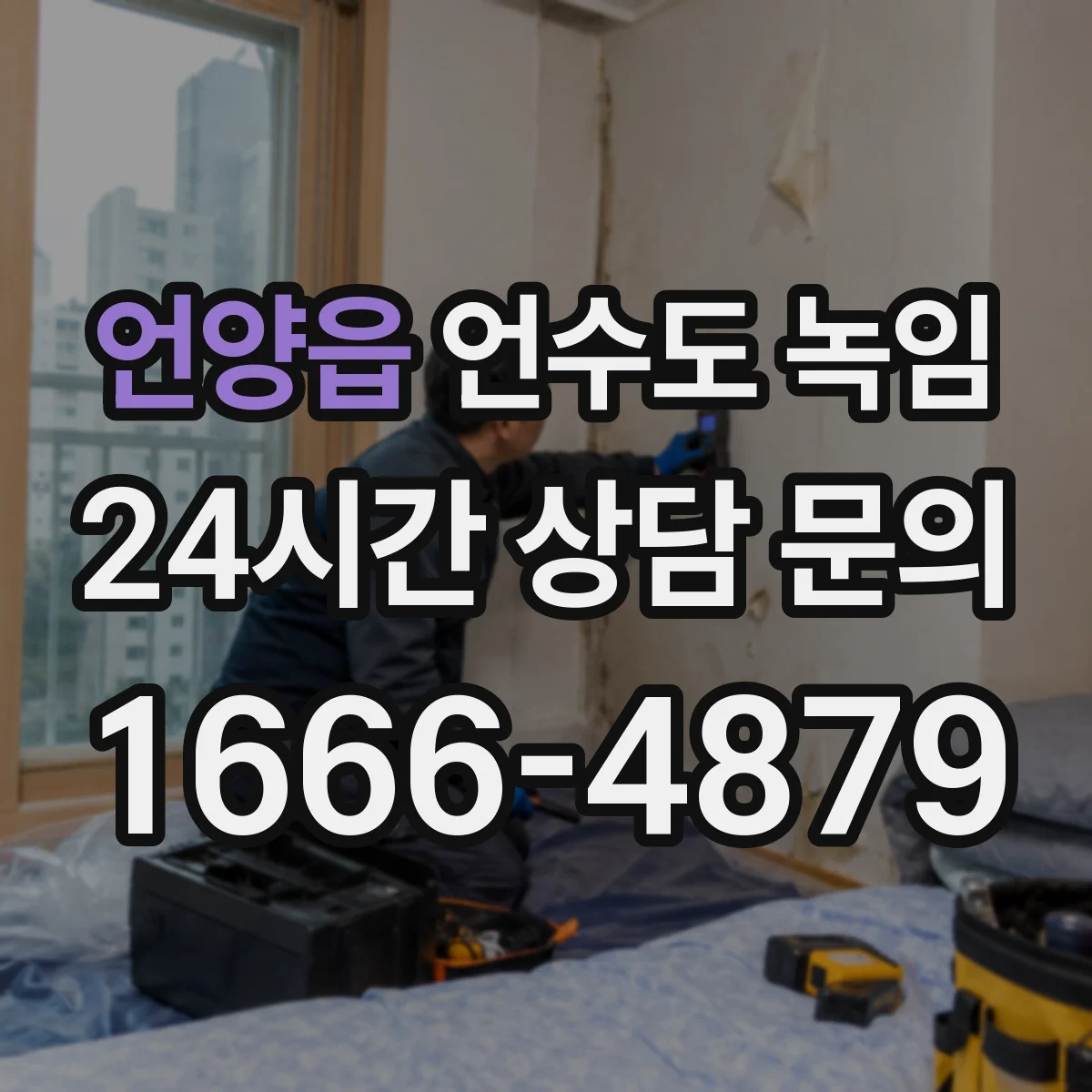 언양읍 언수도 녹임
