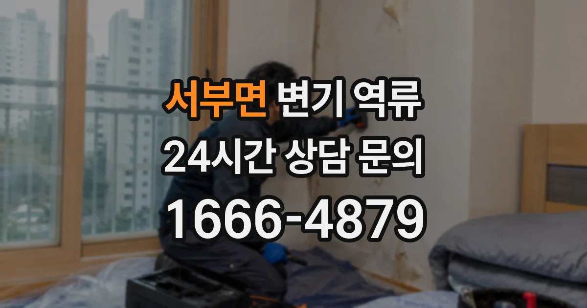 서부면 변기 역류