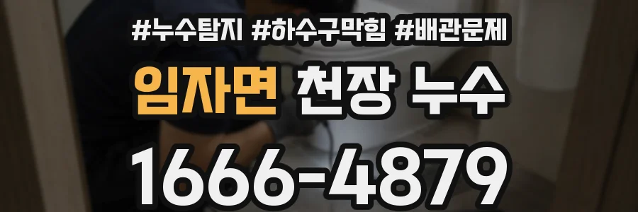 임자면 천장 누수