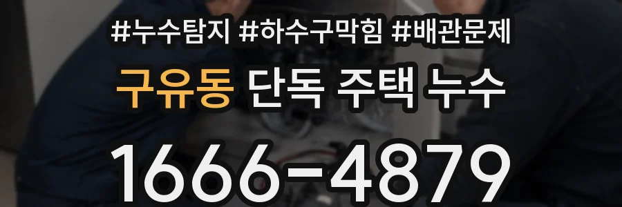 구유동 단독 주택 누수