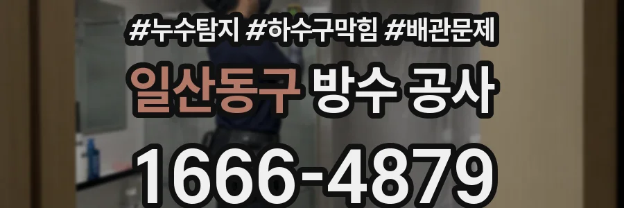 일산동구 방수 공사
