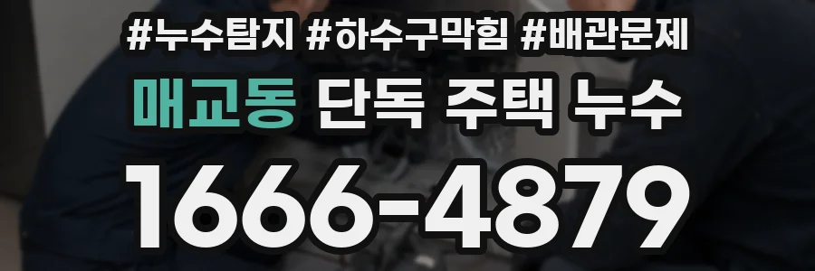 매교동 단독 주택 누수