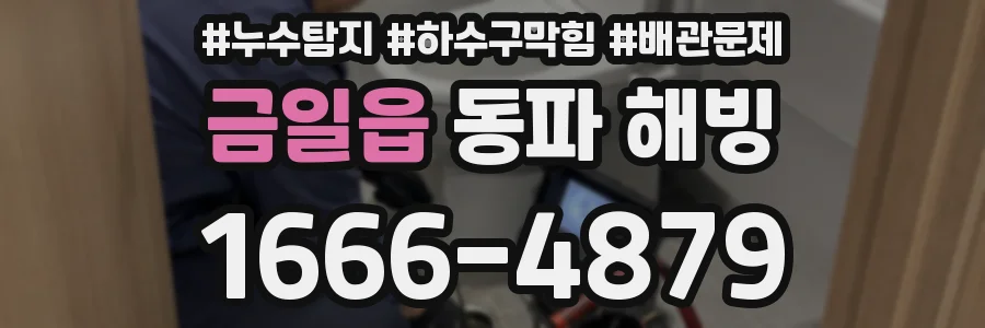 금일읍 동파 해빙