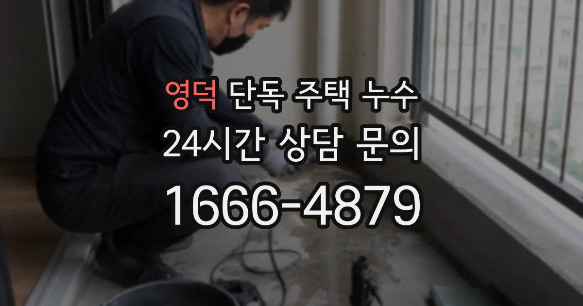 영덕 단독 주택 누수